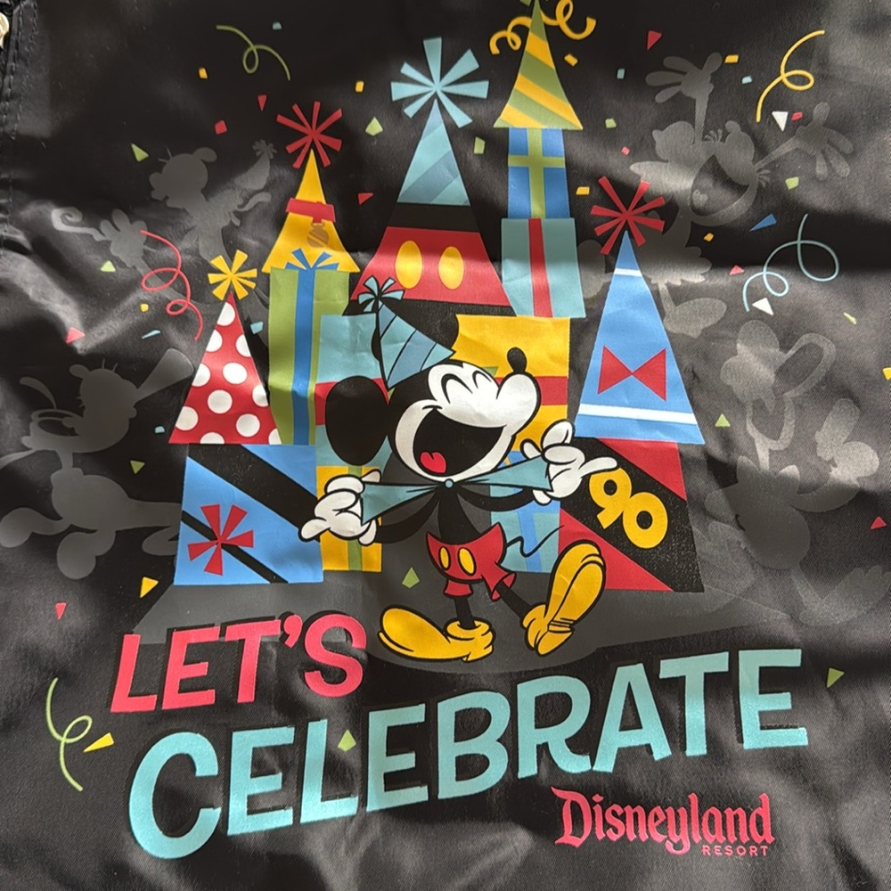 HTF Disneyland Cinch Sack